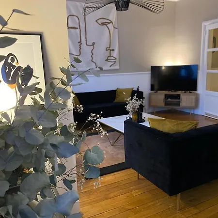 De Standing Hyper Centre Appartement Tours
