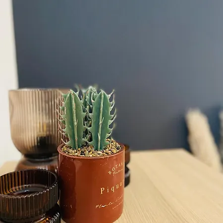 De Standing Hyper Centre Apartment Tours