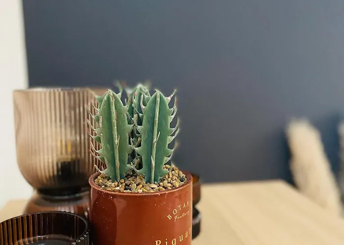 De Standing Hyper Centre דירה טור